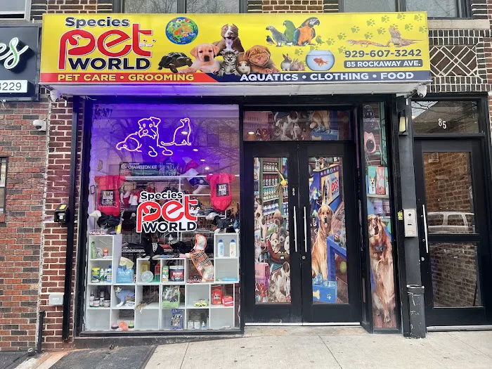 Species Pet World - We DO NOT have a Website Picture 4