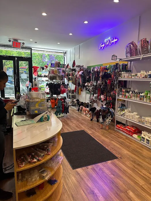 Species Pet World - We DO NOT have a Website Picture 7