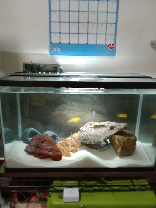 Paradise Aquarium Picture 2