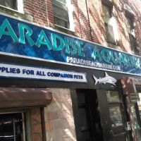 Paradise Aquarium ico
