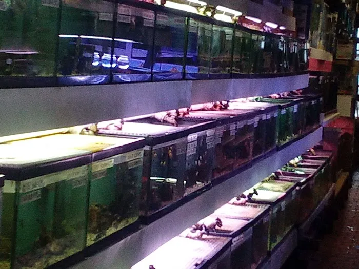 Paradise Aquarium Picture 3