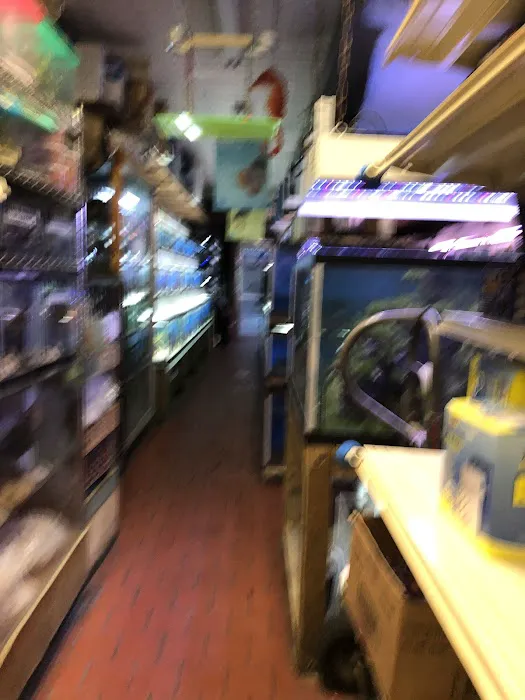 Paradise Aquarium Picture 5