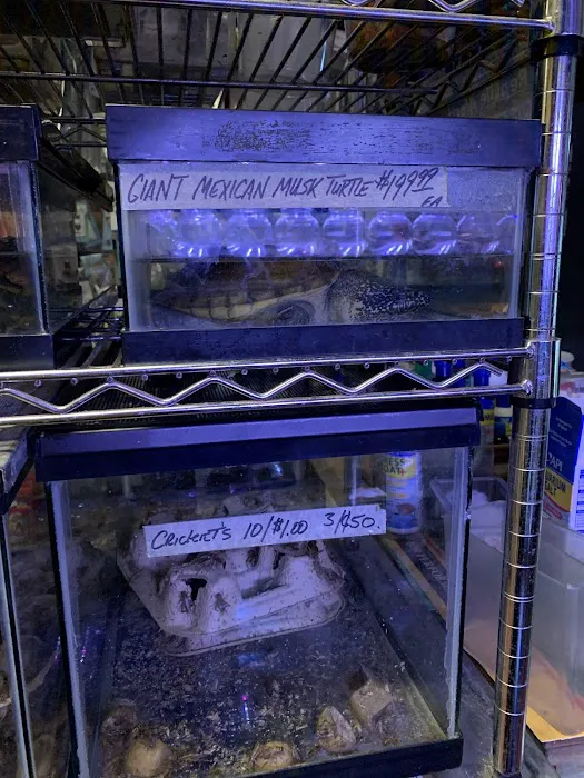 Paradise Aquarium Picture 6