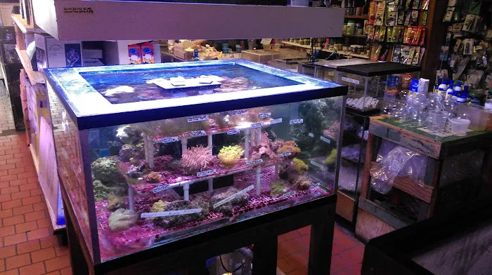 Paradise Aquarium Picture 10