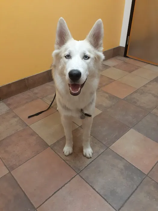 Banfield Pet Hospital Picture 8