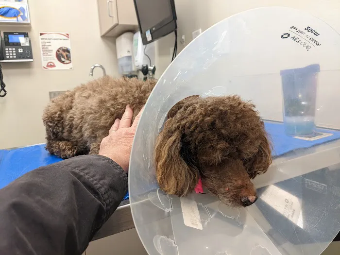Banfield Pet Hospital Picture 5