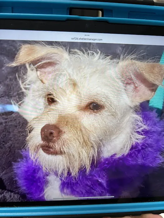 Banfield Pet Hospital Picture 10