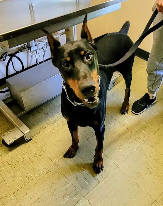Church Road Animal Hospital Picture 2