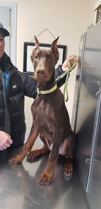 Church Road Animal Hospital Picture 6