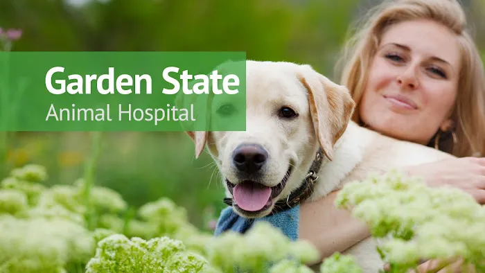 VCA Garden State Animal Hospital Picture 2