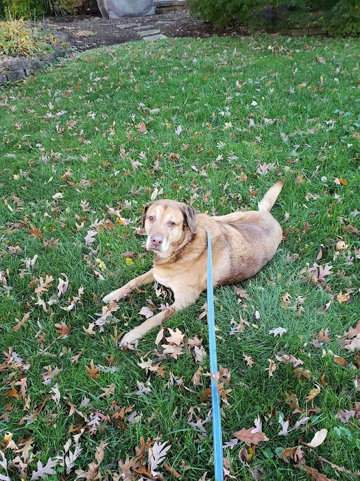 VCA Garden State Animal Hospital Picture 4