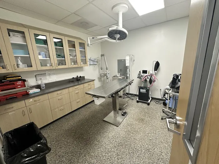 Vetco Total Care Animal Hospital Picture 2