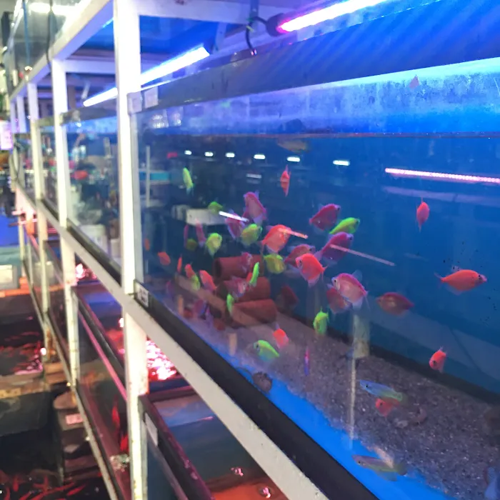 T & R AQUARIUM INC Picture 4
