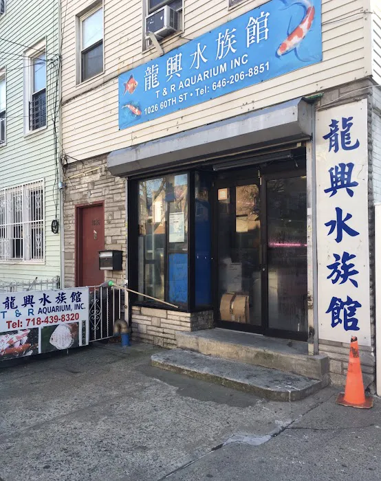 T & R AQUARIUM INC Picture 1
