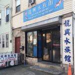T & R AQUARIUM INC