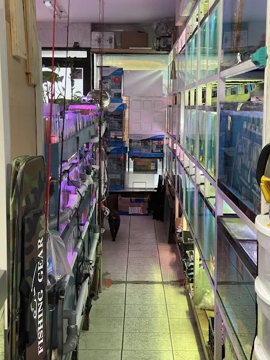T & R AQUARIUM INC Picture 3