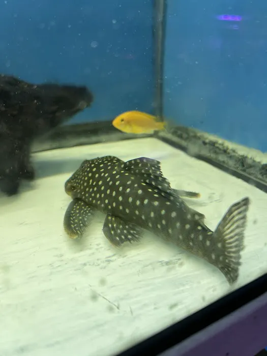 T & R AQUARIUM INC Picture 2