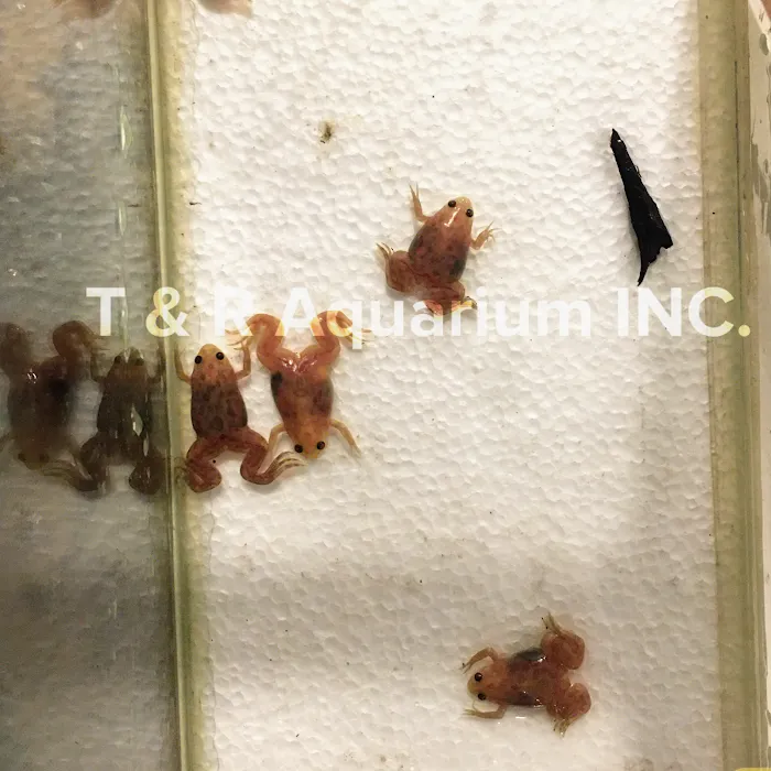 T & R AQUARIUM INC Picture 10