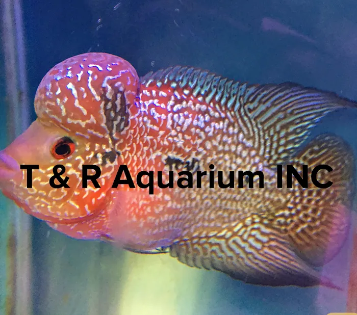 T & R AQUARIUM INC Picture 6