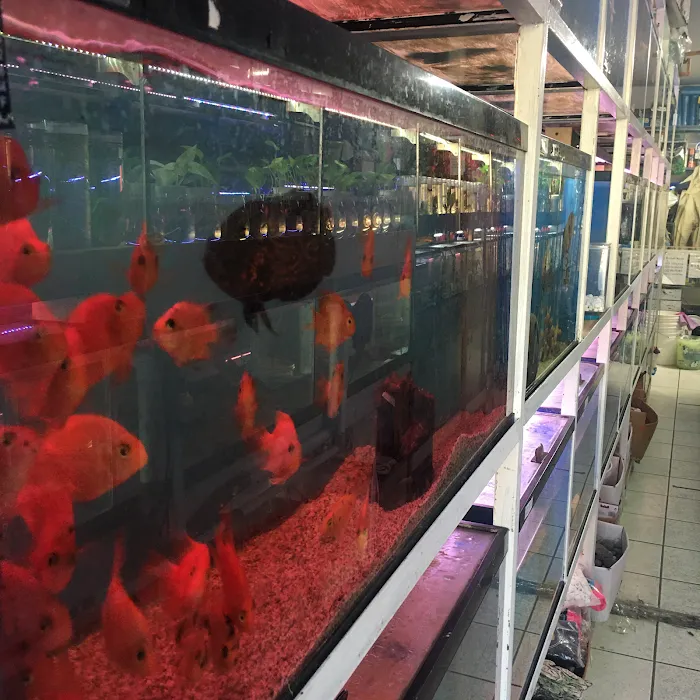 T & R AQUARIUM INC Picture 9