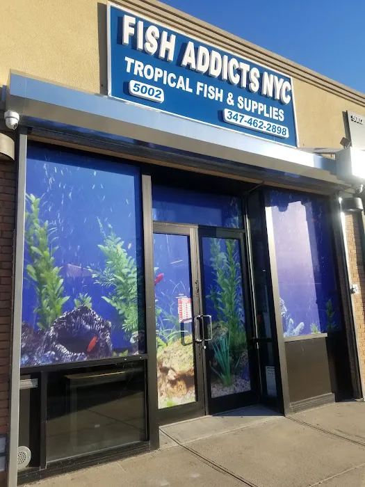 FISH ADDICTS NYC Picture 10
