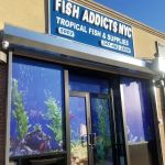 FISH ADDICTS NYC