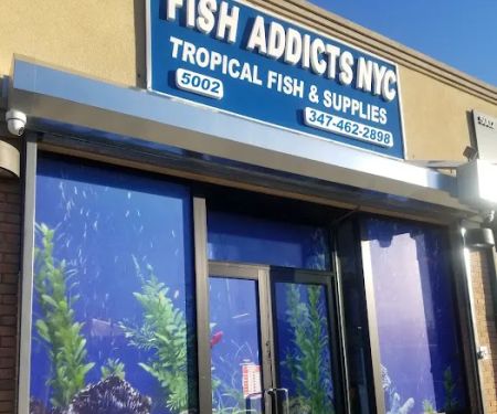FISH ADDICTS NYC