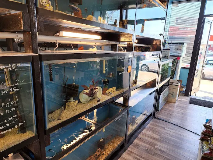 FISH ADDICTS NYC Picture 5