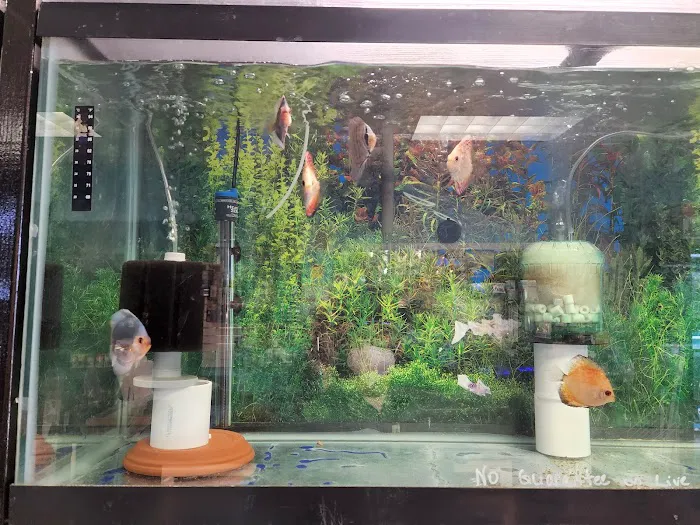 FISH ADDICTS NYC Picture 2