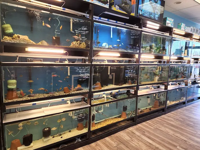 FISH ADDICTS NYC Picture 4