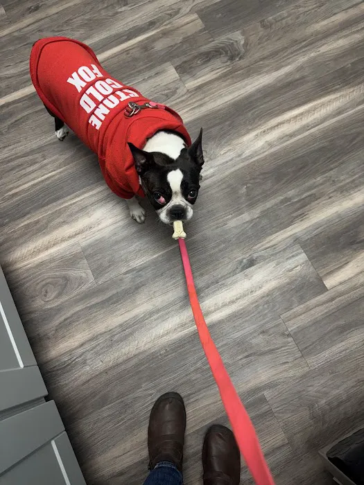 Pet Eye Care Center Picture 7