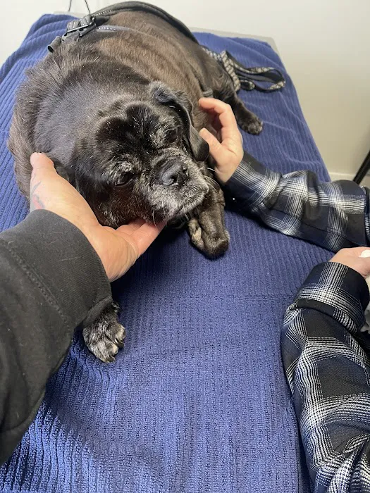 Prospect Park Veterinary Picture 1
