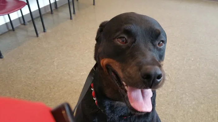 Prospect Park Veterinary Picture 3