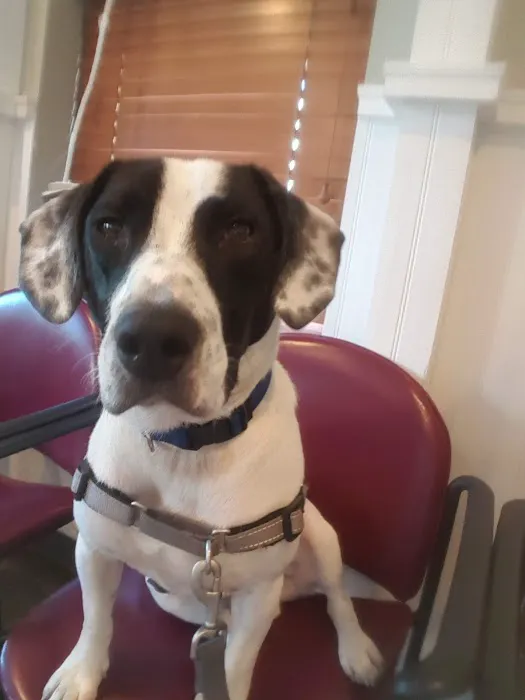 Prospect Park Veterinary Picture 7