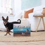 dogmomlifestyles