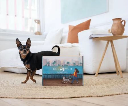 dogmomlifestyles