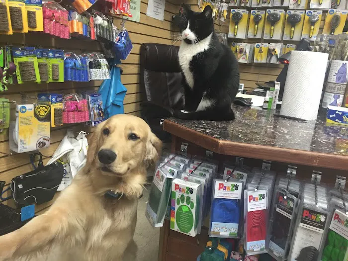 Greenland Pet Grooming, DayCare, Food&Supplies Picture 1