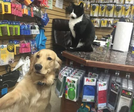 Greenland Pet Grooming, DayCare, Food&Supplies