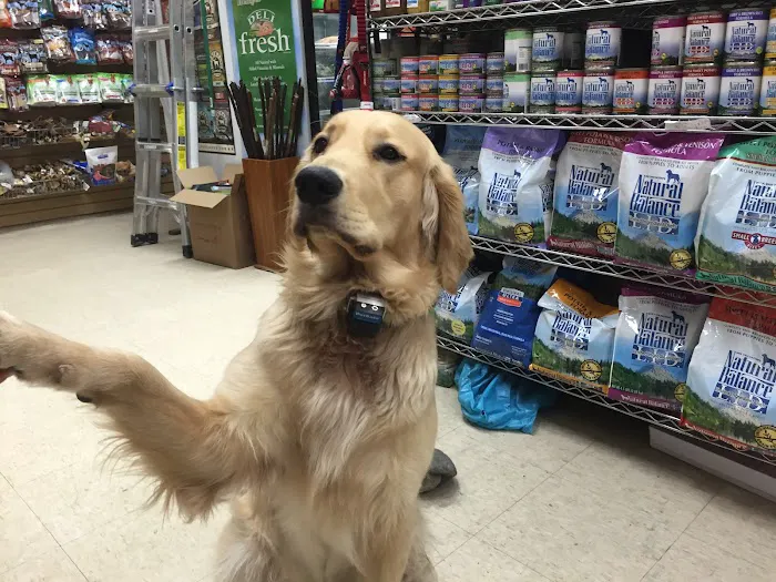 Greenland Pet Grooming, DayCare, Food&Supplies Picture 2