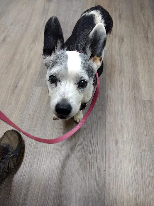 Stoney Creek Veterinary Hospital Picture 5