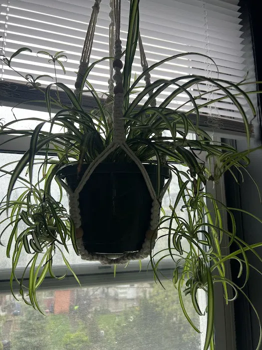 George’s Plants and Pets Picture 1