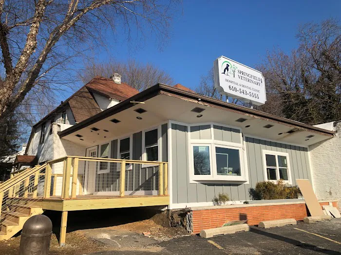 Springfield Veterinary Hospital & Dental Clinic Picture 9
