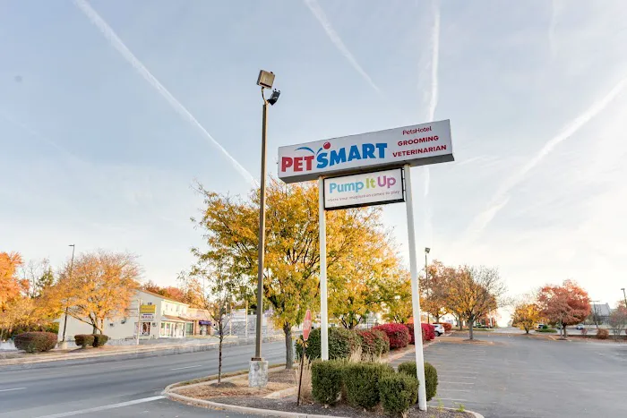 PetSmart Veterinary Services - South Springfield Picture 4