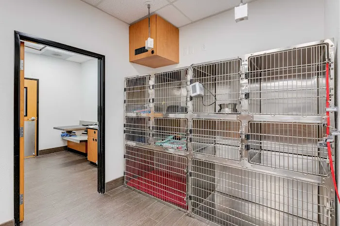 PetSmart Veterinary Services - South Springfield Picture 10