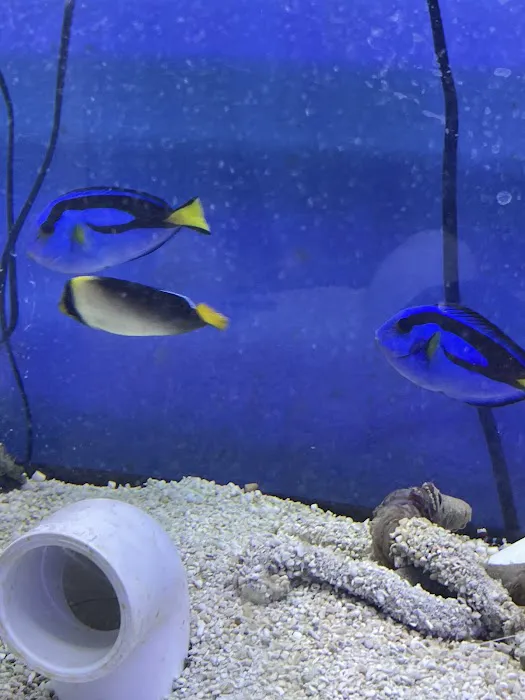 MOSREEF Picture 6