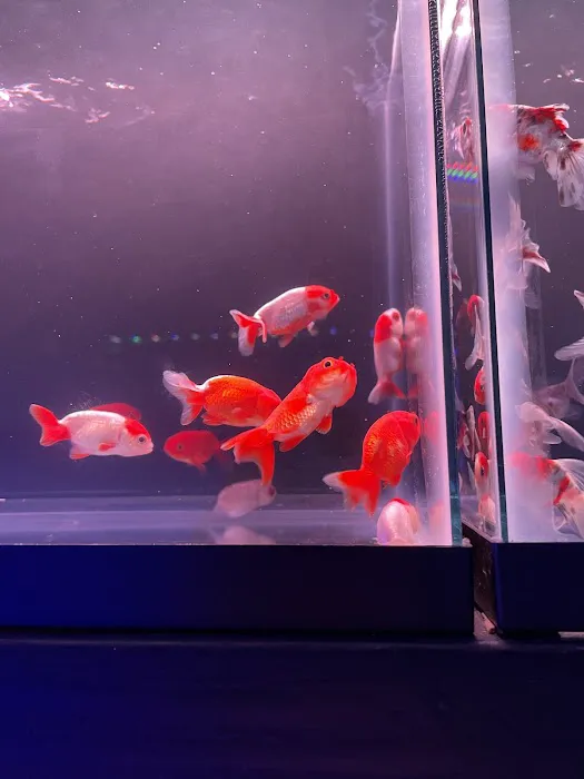 MOSREEF Picture 3