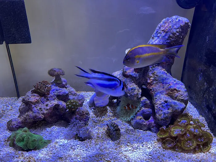 MOSREEF Picture 9