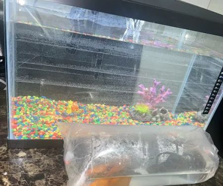 Bayparkway Aquarium