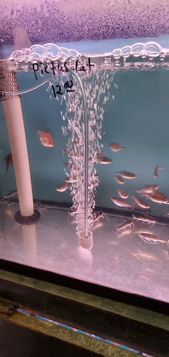 Bayparkway Aquarium Picture 3