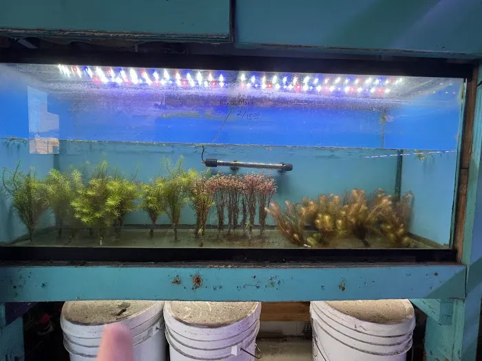 Bayparkway Aquarium Picture 8